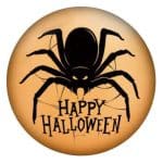 Happy Halloween Spider Snap