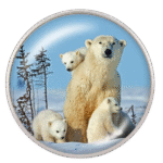 Polar Bear Family