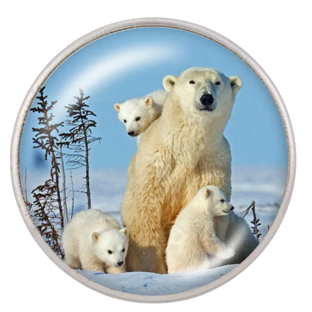 CS002 Polar Bear Family - Image 1