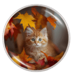 Autumn Kitten Snap
