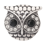 Crystal Owl Snap
