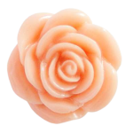 CLEARANCE - Peach Blossom Rose Snap