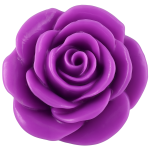 Purple Rose Snap