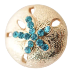 Golden Sand Dollar Snap