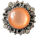 Golden Cat’s Eye Snap