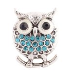 Turquoise Owl Snap