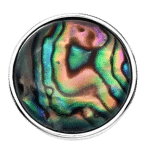 Abalone Sea Shell Snap Charm