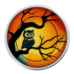 Owl on Sunset Tree Branch