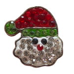 Santa Face with Green Hat Snap
