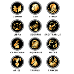 Luxe Gold Zodiac Snaps